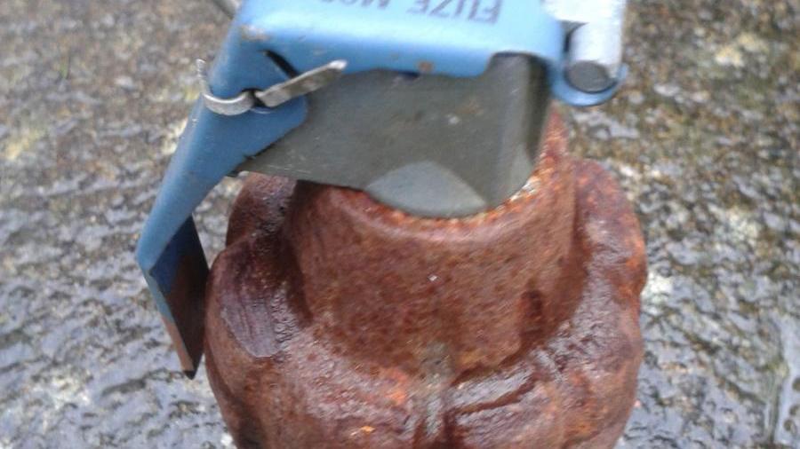 'Pineapple' grenade, rusted, WW2