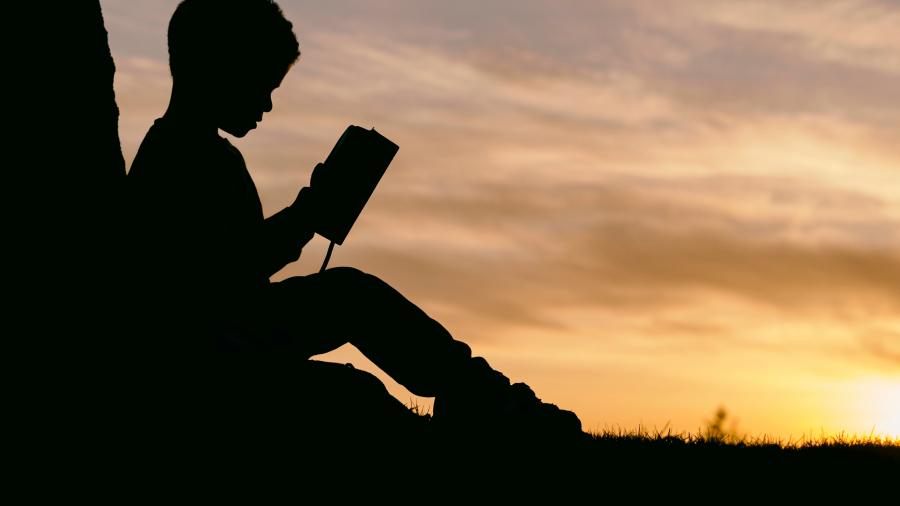 silhouette of boy reading against a tree at sunset