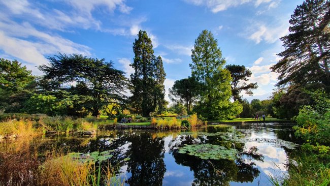 Jisoo's photo of the Cambridge Botanic Gardens