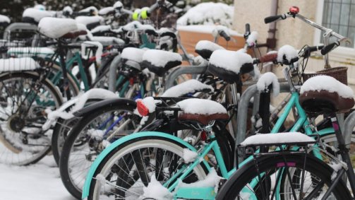 A row of bikes covered in a layer of snow