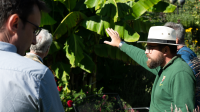 Wolfson Head Gardener in a white hat explaining features of green plants to visitors in an outdoor setting.